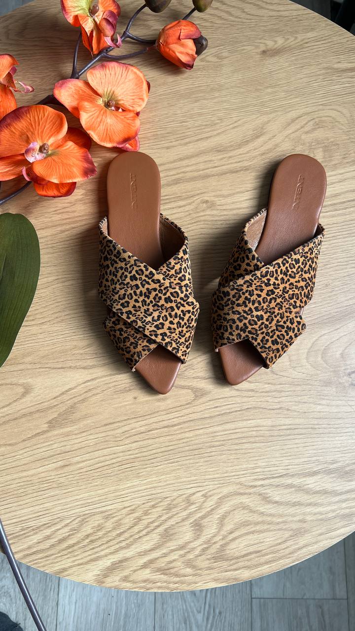 Замшеві мюлі-шльопанці Malena SH117 (лео2)